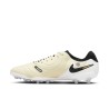 Nike Tiempo Legend 10 Pro Ag-Pro