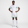 Maillot Nigeria Domicile 2024