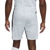 Short Nike Academy Pro Gris