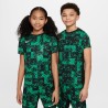 Maillot Nike Academy Pro Enfant Vert