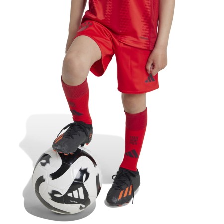 Kit Enfant Bayern Munich Domicile 202425