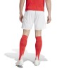 Short Benfica Lisbonne Domicile 2024/25