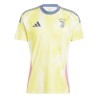 Maillot Juventus Exterieur 202425